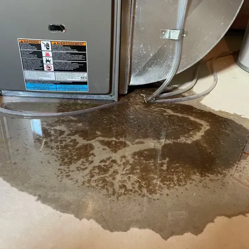 Appliance Leak Cleanup in Larchmont, NY